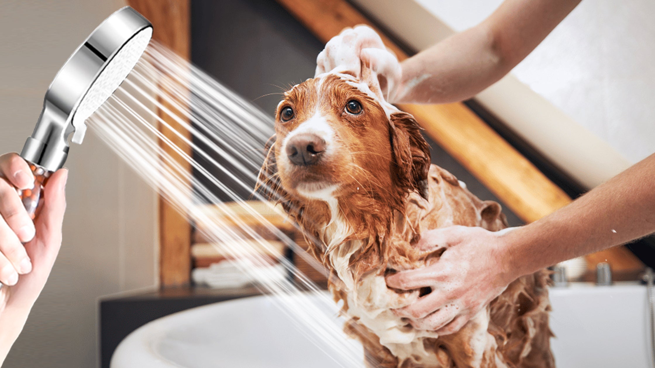 Dog Shower Head: Why You Need One to Make Bathing Your Pet Easier